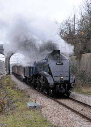 Purchase photo of 60007 SIR NIGEL GRESLEY at London - New Southgate